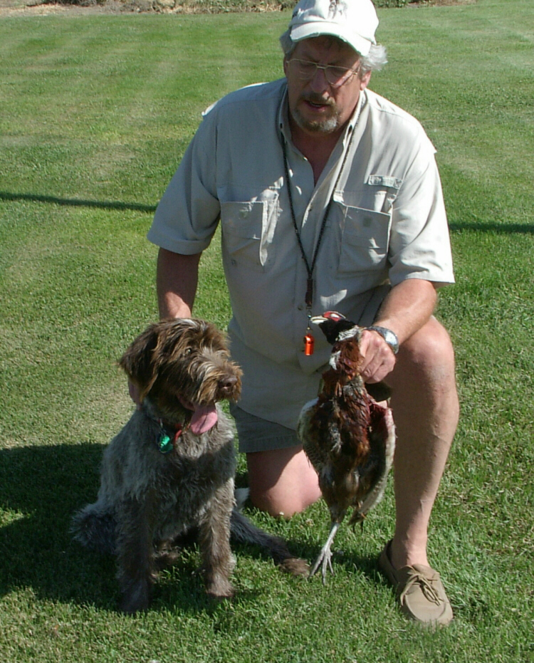 Wirehaired Pointing Griffon Choteau's First Hunt With Gene
